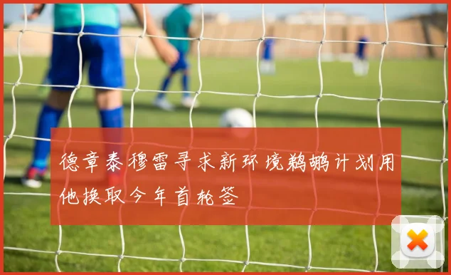德章泰穆雷寻求新环境鹈鹕计划用他换取今年首轮签